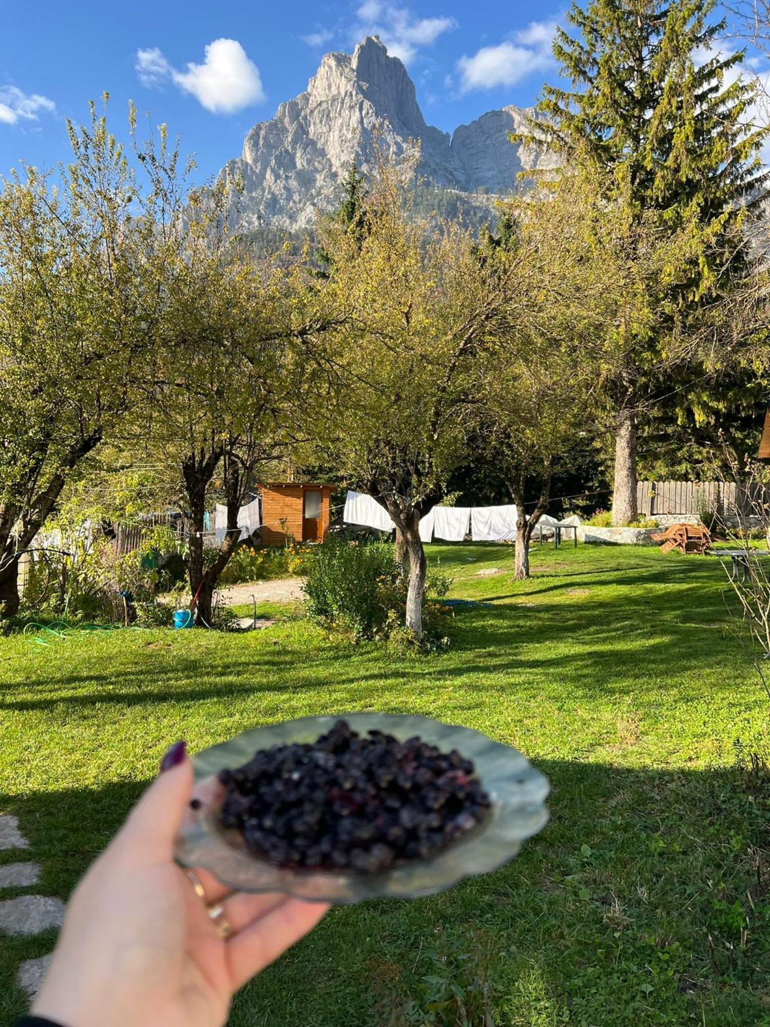 Bujtina Arlindi Bed and Breakfast Valbone Buitenkant foto